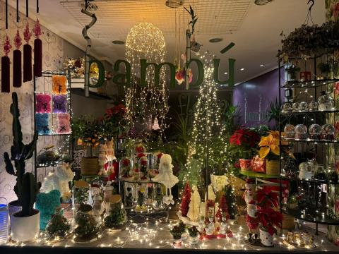 Tercer Premio, Bambú Arte Floral