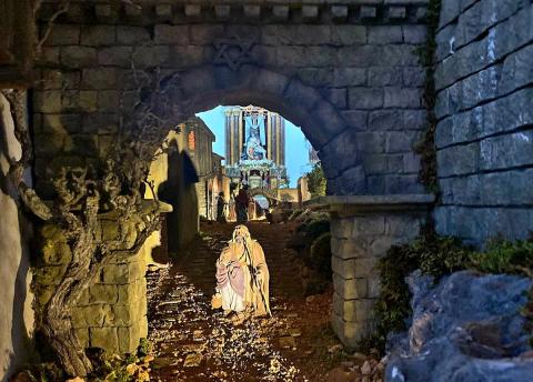 Categoría Entidades sin Ánimo de Lucro,  Fraternidad de San Francisco de Asís