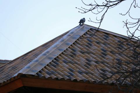 El proyecto, que ha contado con un presupuesto de 44.754 euros, cumple con una demanda histórica de la Asociación de Vecinos del Campo de la Juventud