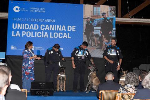 Los perros Nao, Urko y Gea, antiguos animales abandonados o víctimas de malos tratos, que fueron reconocidos con el premio a la Defensa Animal por su historia de superación.