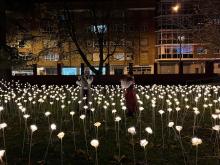 Una nueva experiencia poética llena de luz que podrá visitarse, del 22 de diciembre al 5 de enero, en horario de 18:30 a 21:30 horas.