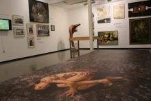 Estrena temporada con seis muestras dedicadas al paisaje, la sostenibilidad, el arte contemporáneo y la arquitectura de tierra.