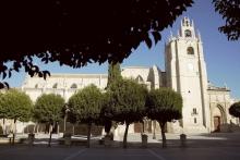 Con entrada gratuita se llevará a cabo a partir de las 20:00 horas en la Catedral de Palencia.
