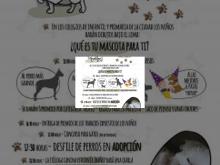 Imagen El Parque del Salón acogerá la I Feria de Adopción de Animales el próximo domingo 24 de septiembre