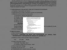 Imagen Publicadas las bases del concurso de ideas para la rehabilitación del Parque de Los Jardinillos