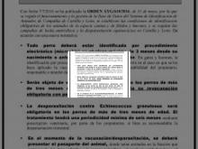 Imagen Convocada la campaña de lucha antirrábica