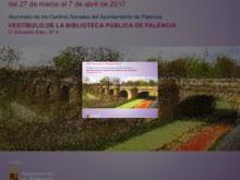 Imagen Los alumnos de los cursos de Dibujo y Pintura de los Centros Sociales Municipales exponen en la Biblioteca Pública