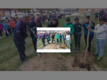 Imagen El Ayuntamiento celebra el Día Mundial del Árbol con la plantación de 46 ejemplares en los entornos de la Avenida de Cuba por parte de 300 escolares