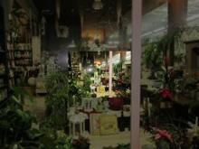 Imagen ​El Ayuntamiento convoca el concurso de Escaparates Navideños 2016 dotado con ​1.200 euros en premios