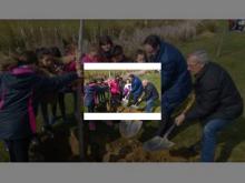 Imagen Alrededor de cuatrocientos escolares realizan una plantación en el Parque Ribera Sur para conmemorar la celebración del Día Mundial del Árbol