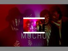 Imagen Los grupos Mucho y Novedades Carminha se suman al cartel del Palencia Sonora 2016