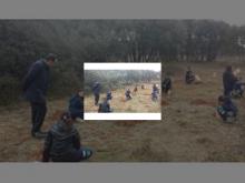 Imagen Ayuntamiento y Campus de La Yutera unen de nuevo fuerzas para celebrar el Día del Árbol y sensibilizar sobre la necesidad de su protección y cuidado