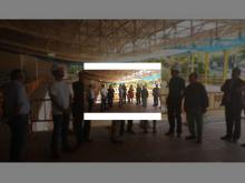 Imagen 20140715-114603