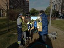 Imagen 20140206-103415