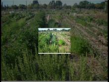 Imagen huertos-ecologicos