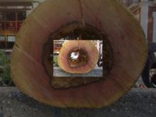 Imagen 20130225-101343