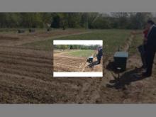 Imagen huertos urbanos municipales